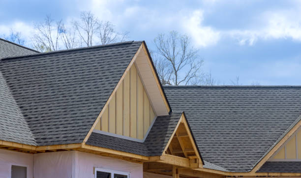 Best Roof Ventilation Installation  in Hazel Green, AL
